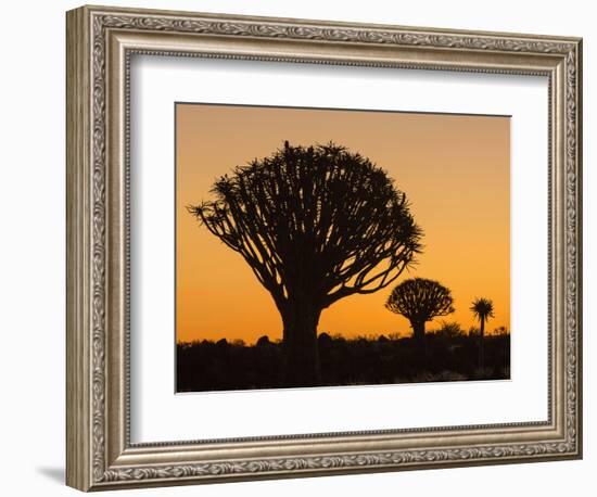 Africa, Namibia. Quiver Trees at Twilight-Jaynes Gallery-Framed Photographic Print