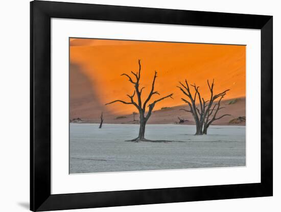 Africa, Namibia, Sossusvlei. Dead Acacia Trees in the White Clay Pan at Deadvlei in the Morning Lig-Hollice Looney-Framed Photographic Print