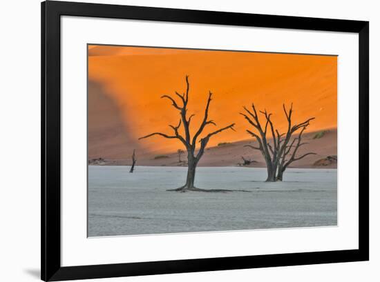 Africa, Namibia, Sossusvlei. Dead Acacia Trees in the White Clay Pan at Deadvlei in the Morning Lig-Hollice Looney-Framed Photographic Print