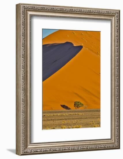 Africa, Namibia, Sossusvlei. Dune in the afternoon-Hollice Looney-Framed Photographic Print