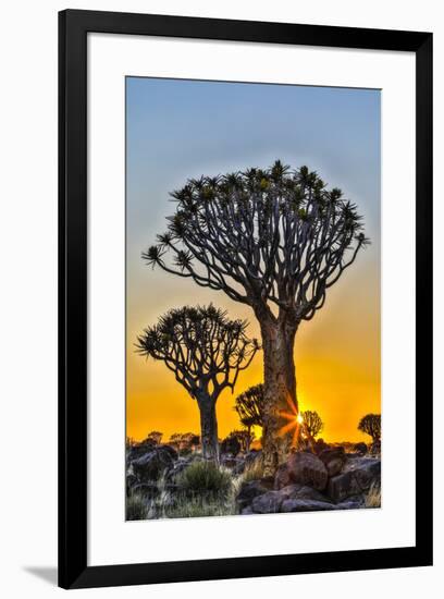 Africa, Namibia, sunrise at the Quiver tree Forest at the Quiver tree Forest Rest Camp-Hollice Looney-Framed Photographic Print