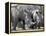 Africa, Namibia. White Rhino Mother and Calf-Jaynes Gallery-Framed Premier Image Canvas