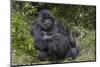 Africa, Rwanda, Volcanoes National Park. Blackback gorilla watching us.-Ellen Goff-Mounted Photographic Print