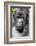 Africa, Rwanda, Volcanoes National Park. Portrait of a silverback mountain gorilla.-Ellen Goff-Framed Photographic Print