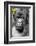 Africa, Rwanda, Volcanoes National Park. Portrait of a silverback mountain gorilla.-Ellen Goff-Framed Photographic Print