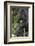 Africa, Rwanda, Volcanoes National Park. Portrait of a silverback mountain gorilla.-Ellen Goff-Framed Photographic Print