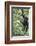 Africa, Rwanda, Volcanoes National Park. Young mountain gorilla swinging from a branch.-Ellen Goff-Framed Photographic Print