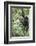Africa, Rwanda, Volcanoes National Park. Young mountain gorilla swinging from a branch.-Ellen Goff-Framed Photographic Print