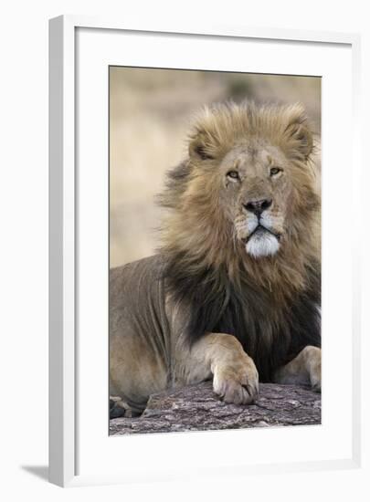 Africa's King-Susann Parker-Framed Photographic Print