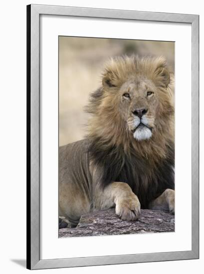 Africa's King-Susann Parker-Framed Photographic Print