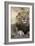 Africa's King-Susann Parker-Framed Photographic Print