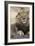 Africa's King-Susann Parker-Framed Photographic Print