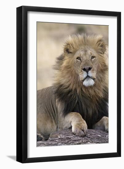 Africa's King-Susann Parker-Framed Photographic Print