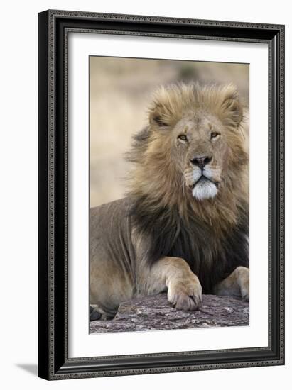 Africa's King-Susann Parker-Framed Photographic Print