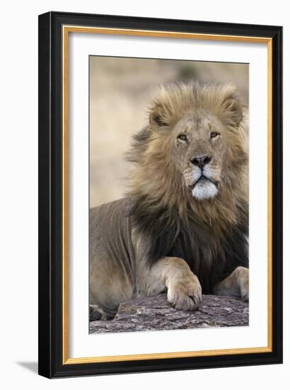 Africa's King-Susann Parker-Framed Photographic Print