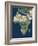 Africa, Satellite Image-PLANETOBSERVER-Framed Photographic Print