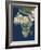 Africa, Satellite Image-PLANETOBSERVER-Framed Photographic Print