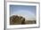 Africa, South Africa, Boulderbaai. Rock Resembles Human Head-Jaynes Gallery-Framed Photographic Print