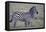 Africa, Tanzania. A young foal stands next to its mother.-Ellen Goff-Framed Premier Image Canvas