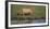 Africa. Tanzania. African Lion at Ndutu, Serengeti National Park.-Ralph H. Bendjebar-Framed Photographic Print