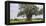 Africa. Tanzania. Baobab tree in Tarangire National Park.-Ralph H. Bendjebar-Framed Premier Image Canvas