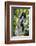 Africa. Tanzania. Black and White Colobus at Arusha National Park.-Ralph H. Bendjebar-Framed Photographic Print