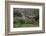 Africa. Tanzania. Black-backed jackal stretches after a nap, Serengeti National Park.-Ralph H. Bendjebar-Framed Photographic Print