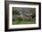 Africa. Tanzania. Black-backed jackal stretches after a nap, Serengeti National Park.-Ralph H. Bendjebar-Framed Photographic Print