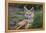 Africa. Tanzania. Golden jackal, Canis aureus, Serengeti National Park.-Ralph H. Bendjebar-Framed Premier Image Canvas