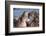 Africa. Tanzania. Hippopotamus, Serengeti National Park.-Ralph H. Bendjebar-Framed Photographic Print