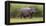 Africa. Tanzania. Hippopotamus, Serengeti National Park.-Ralph H. Bendjebar-Framed Premier Image Canvas