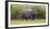 Africa. Tanzania. Hippopotamus, Serengeti National Park.-Ralph H. Bendjebar-Framed Photographic Print