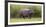 Africa. Tanzania. Hippopotamus, Serengeti National Park.-Ralph H. Bendjebar-Framed Photographic Print