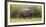 Africa. Tanzania. Hippopotamus, Serengeti National Park.-Ralph H. Bendjebar-Framed Photographic Print