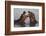 Africa. Tanzania. Hippopotamus, Serengeti National Park.-Ralph H. Bendjebar-Framed Photographic Print