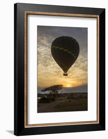 Africa. Tanzania. Hot air balloon crossing the Mara River, Serengeti National Park.-Ralph H. Bendjebar-Framed Photographic Print