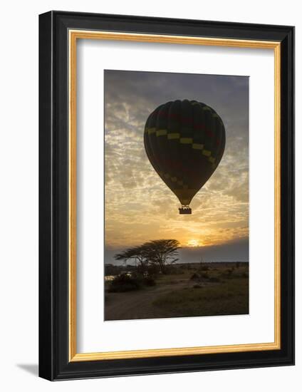 Africa. Tanzania. Hot air balloon crossing the Mara River, Serengeti National Park.-Ralph H. Bendjebar-Framed Photographic Print