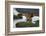 Africa. Tanzania. Male African Lion at Ndutu, Serengeti National Park.-Ralph H. Bendjebar-Framed Photographic Print