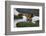 Africa. Tanzania. Male African Lion at Ndutu, Serengeti National Park.-Ralph H. Bendjebar-Framed Photographic Print