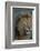 Africa. Tanzania. Male African Lion at Ndutu, Serengeti National Park.-Ralph H. Bendjebar-Framed Photographic Print