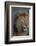 Africa. Tanzania. Male African Lion at Ndutu, Serengeti National Park.-Ralph H. Bendjebar-Framed Photographic Print