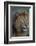 Africa. Tanzania. Male African Lion at Ndutu, Serengeti National Park.-Ralph H. Bendjebar-Framed Photographic Print