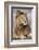 Africa. Tanzania. Male African Lion at Ndutu, Serengeti National Park.-Ralph H. Bendjebar-Framed Photographic Print