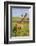 Africa. Tanzania. Masai giraffes at Arusha National Park.-Ralph H^ Bendjebar-Framed Photographic Print