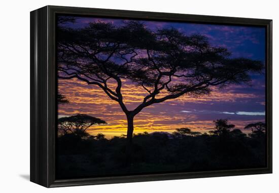 Africa. Tanzania. Morning sunrise at Ndutu, Serengeti National Park.-Ralph H. Bendjebar-Framed Premier Image Canvas