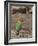 Africa, Tanzania, Ngorongoro Conservation Area. Fischer's Lovebird-Charles Sleicher-Framed Photographic Print