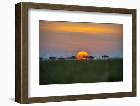 Africa, Tanzania, sunset-Lee Klopfer-Framed Photographic Print