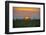 Africa, Tanzania, sunset-Lee Klopfer-Framed Photographic Print