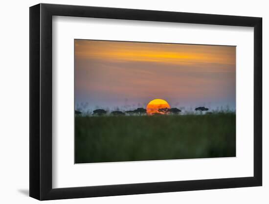 Africa, Tanzania, sunset-Lee Klopfer-Framed Photographic Print