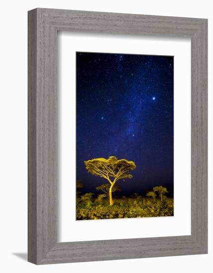 Africa. Tanzania. The Milky Way illuminate the night sky at Ndutu in Serengeti National Park.-Ralph H. Bendjebar-Framed Photographic Print